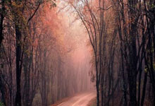 West Palm Beach $22K Bitcoin Scheme: Police Warn of Holiday Fraud