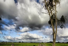 West Palm Beach $22K Bitcoin Scheme: Police Warn of Holiday Fraud