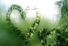 Maxi Doge: Unlocking the Presale Potential and Crypto's Visionary Path