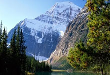 West Palm Beach $22K Bitcoin Scheme: Police Warn of Holiday Fraud